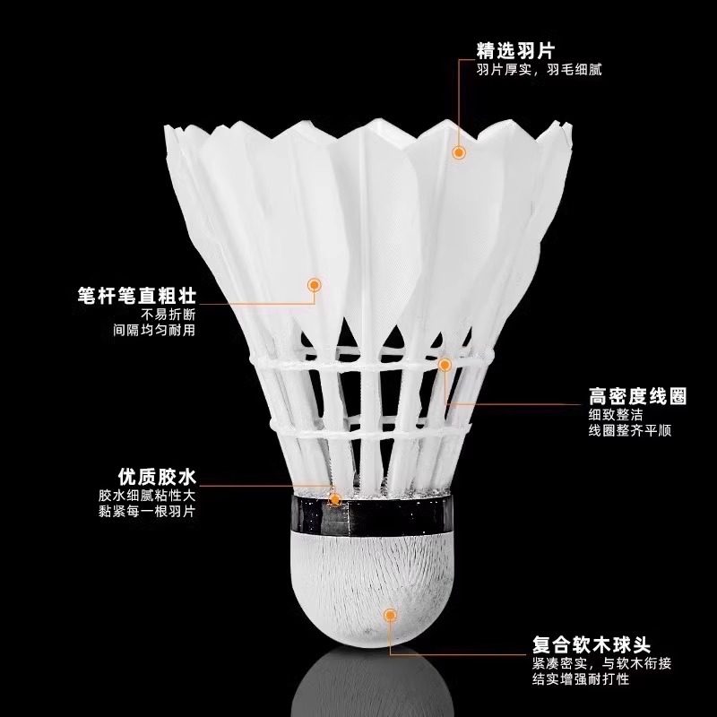 Volani da badminton Lion in pi - Feather Shuttlecock recensione e prezzo