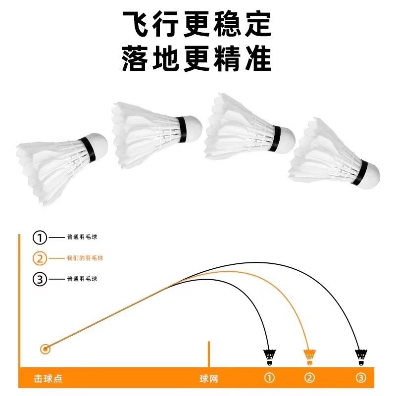 Volani da badminton Lion in pi - Feather Shuttlecock recensione e prezzo