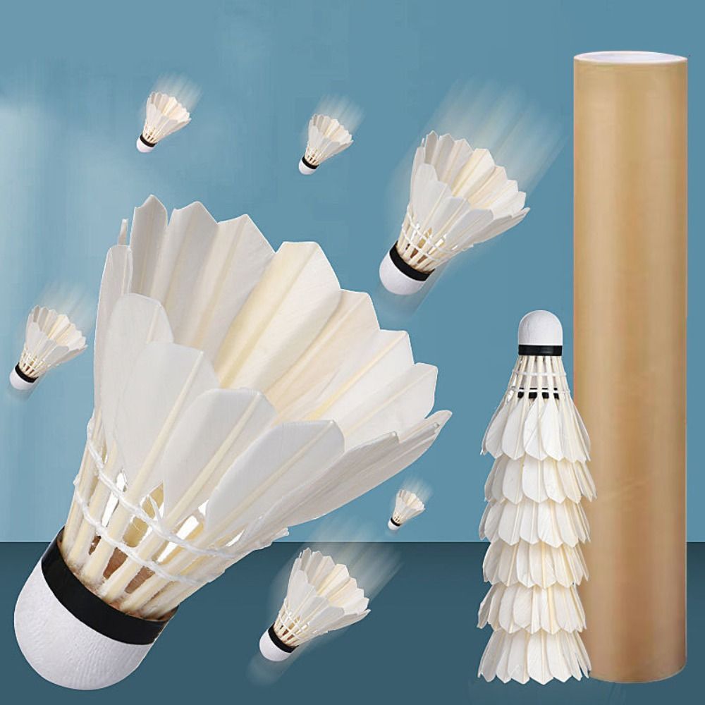 Volano da badminton profession - Feather Shuttlecock recensione e prezzo