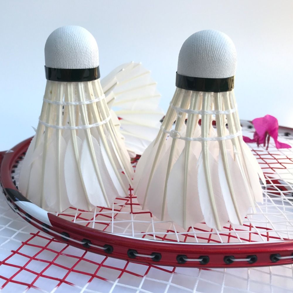3/6/12 Pz Nuovo Volano Da Badm - Feather Shuttlecock recensione e prezzo